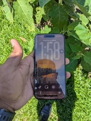 Apple iPhone 16 Pro Max 256GB (Used)