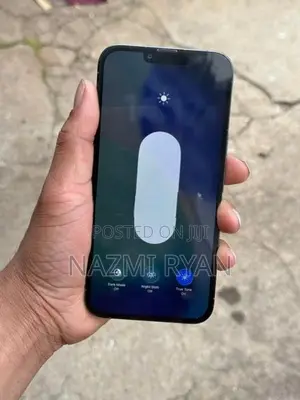 Apple iPhone 13 Pro Max (Used)