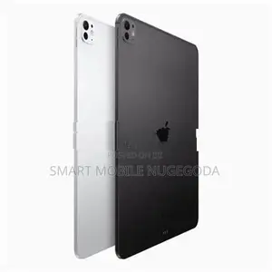 Apple iPad Pro M4 11" WIFI 256GB