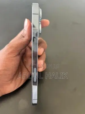 Apple iPhone 13 Pro (Used)