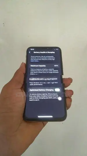 Apple iPhone XS 256GB (Used)