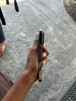 Apple iPhone 13 Pro (Used)