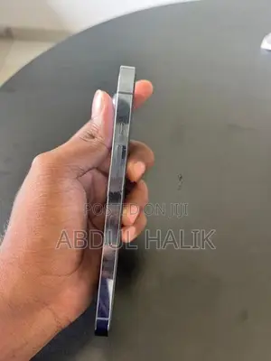 Apple iPhone 13 Pro (Used)