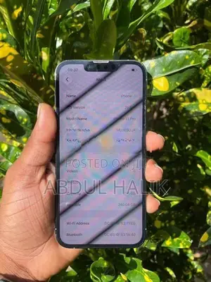 Apple iPhone 13 Pro (Used)