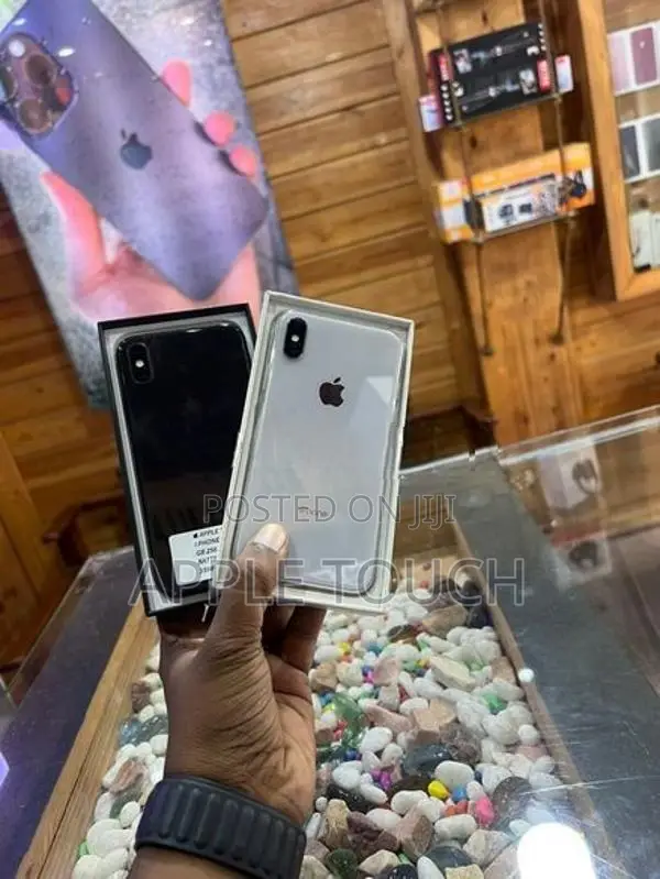 Apple iPhone X (Used)