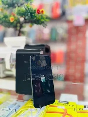 Apple iPhone 13 (Used)