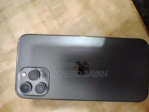 Apple iPhone 12 Pro Max (Used)