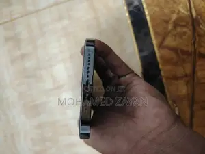 Apple iPhone 12 Pro Max (Used)