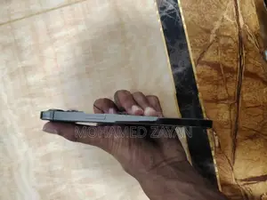 Apple iPhone 12 Pro Max (Used)