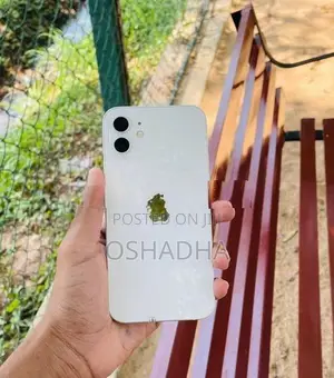 Apple iPhone 12 (Used)