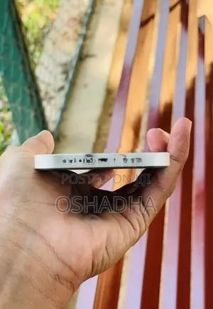 Apple iPhone 12 (Used)