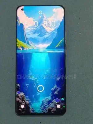 Xiaomi Mi 11 Ultra (Used)