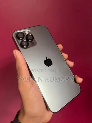 Apple iPhone 12 Pro Max (Used)