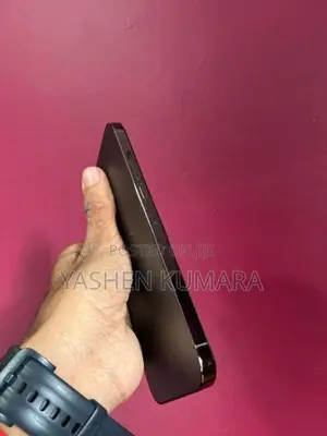 Apple iPhone 12 Pro Max (Used)