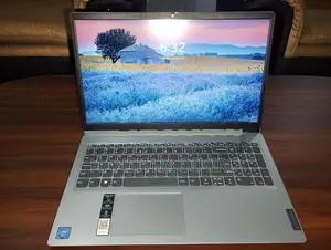 Lenovo ideapad1