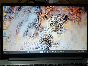 Lenovo ideapad1