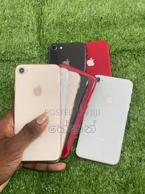 Apple iPhone 8 (Used)