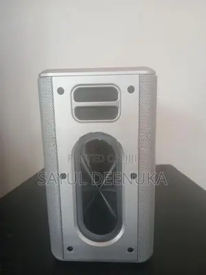 Karaoke Speaker with 2 wireless mic