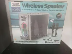 Karaoke Speaker with 2 wireless mic