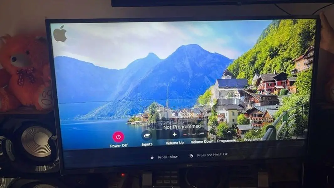 LG 43-inch Smart TV