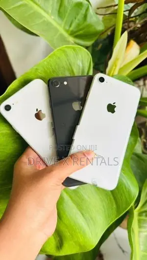 Apple iPhone 8 (Used)