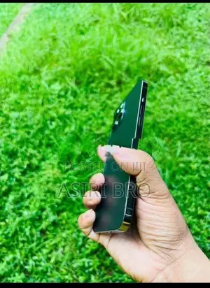 Apple iPhone 12 Pro Max 128GB (Used)