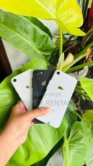 Apple iPhone 8 (Used)