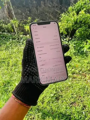 Apple iPhone 12 Pro Max 128GB (Used)