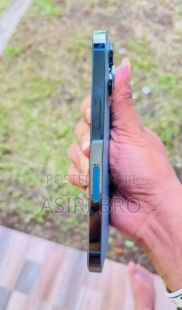 Apple iPhone 13 Pro 256GB (Used)