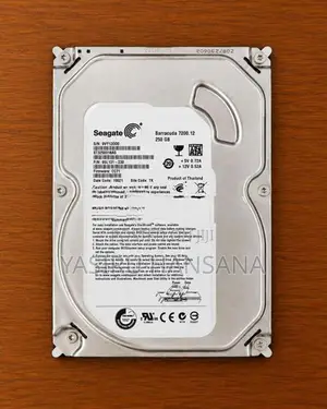 Seagate 250GB Hard
