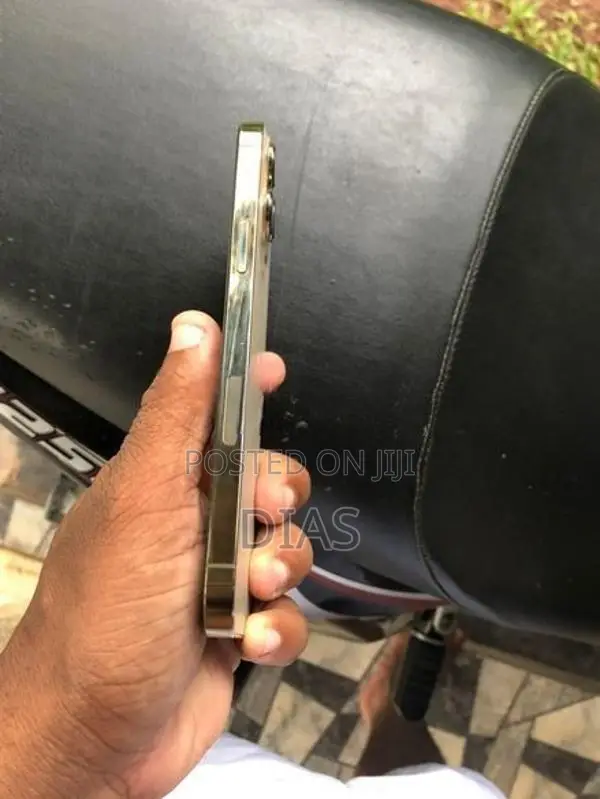 Apple iPhone 13 Pro Max (Used)