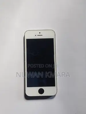 Apple iPhone 5S (Used)