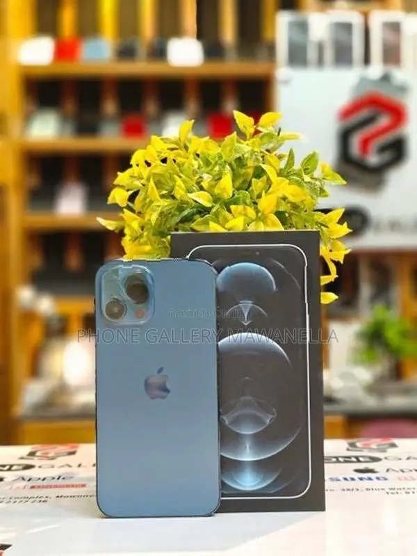 Apple iPhone 12 Pro Max 256GB (Used)