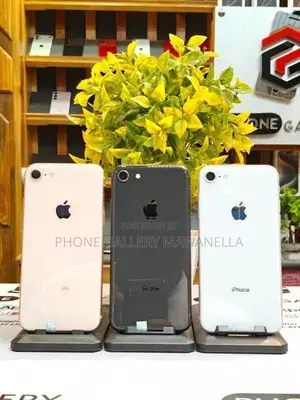 Apple iPhone 8 64GB (Used)