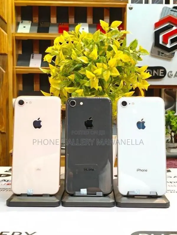 Apple iPhone 8 64GB (Used)