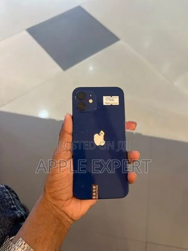 Apple iPhone 12 (Used)
