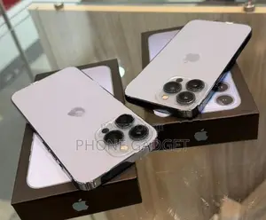 Apple iPhone 13 Pro 256GB (Used)