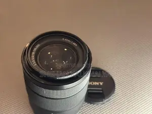 Sony 18-135mm OSS