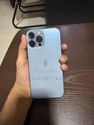 Apple iPhone 13 Pro Max (Used)