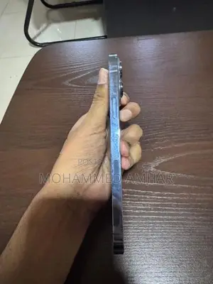 Apple iPhone 13 Pro Max (Used)