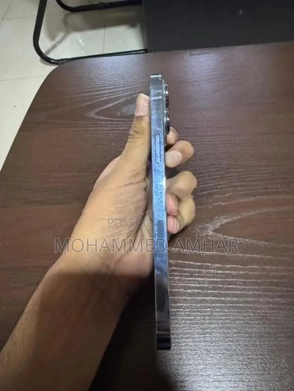 Apple iPhone 13 Pro Max (Used)