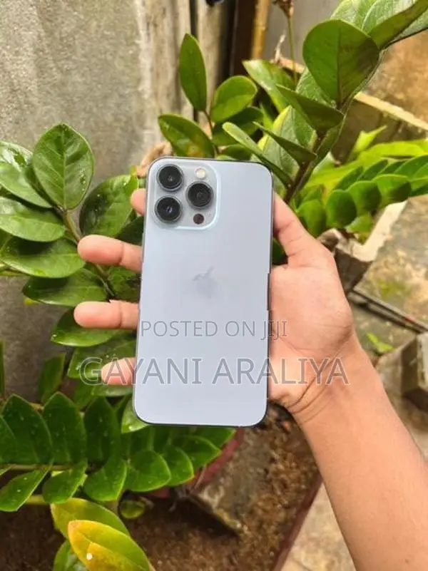 Apple iPhone 13 Pro (Used)