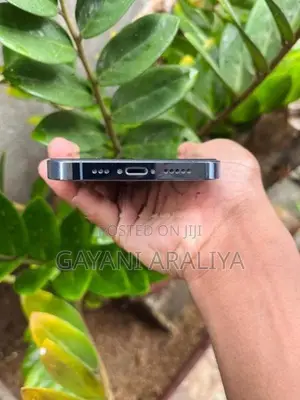 Apple iPhone 13 Pro (Used)