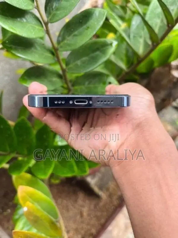 Apple iPhone 13 Pro (Used)
