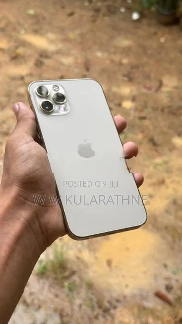 Apple iPhone 12 Pro (Used)