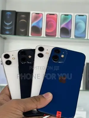 Apple iPhone 12 mini (Used)