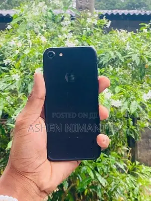 Apple iPhone 7 (Used)