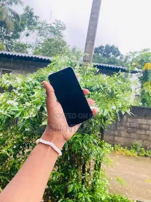 Apple iPhone 7 (Used)