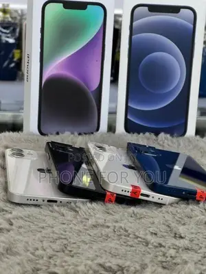 Apple iPhone 12 mini (Used)