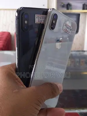 Apple iPhone X (Used)